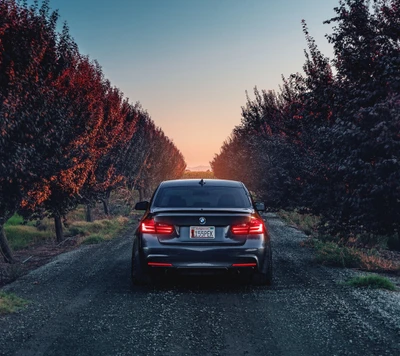 BMW azul en un camino pintoresco bordeado de árboles al atardecer