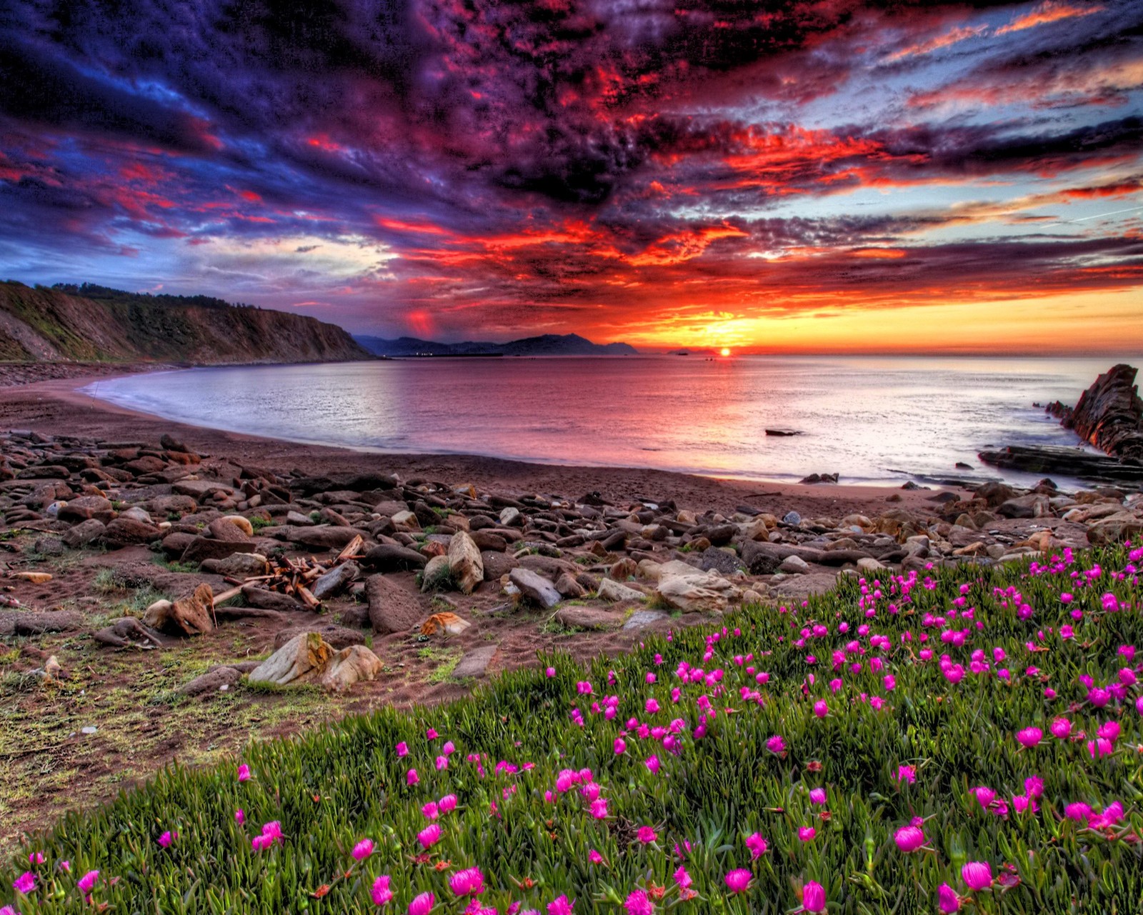 Un hermoso atardecer sobre el océano con flores rosas en primer plano (playa, hermoso, colorido, flores, roca)