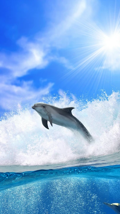 Springender Delfin vor einem sonnigen Ozeanhorizont