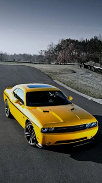 dodge, muscle car, tire, wheel, cars wallpaper