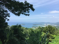 Üppige tropische Landschaft mit Blick auf die Küstengewässer