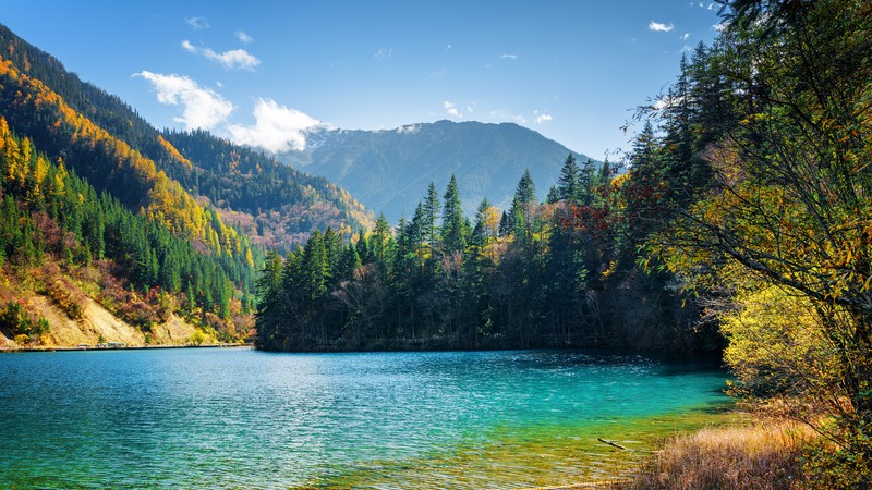 Озеро, окруженное деревьями и горами, с голубым небом (природа, гора, вода, дикая природа, озеро)