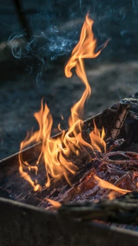 Flammes dansantes d'un feu de camp : Chaleur et ambiance dans l'obscurité