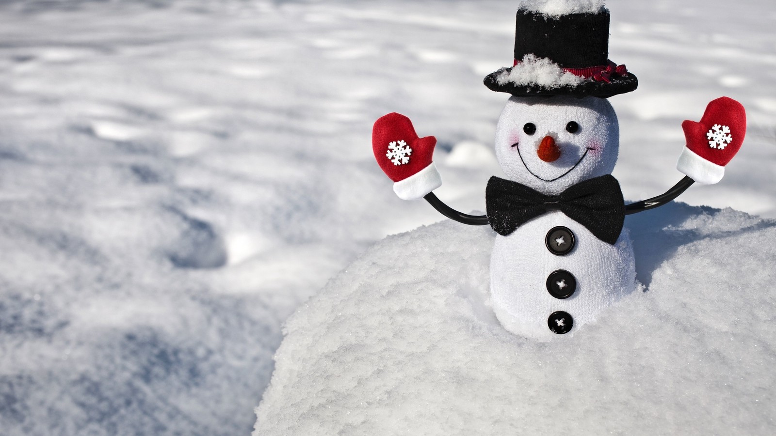 Es gibt einen schneemann mit handschuhen und einem zylinder (schnee, winter, schneemann, gefrieren, eis)