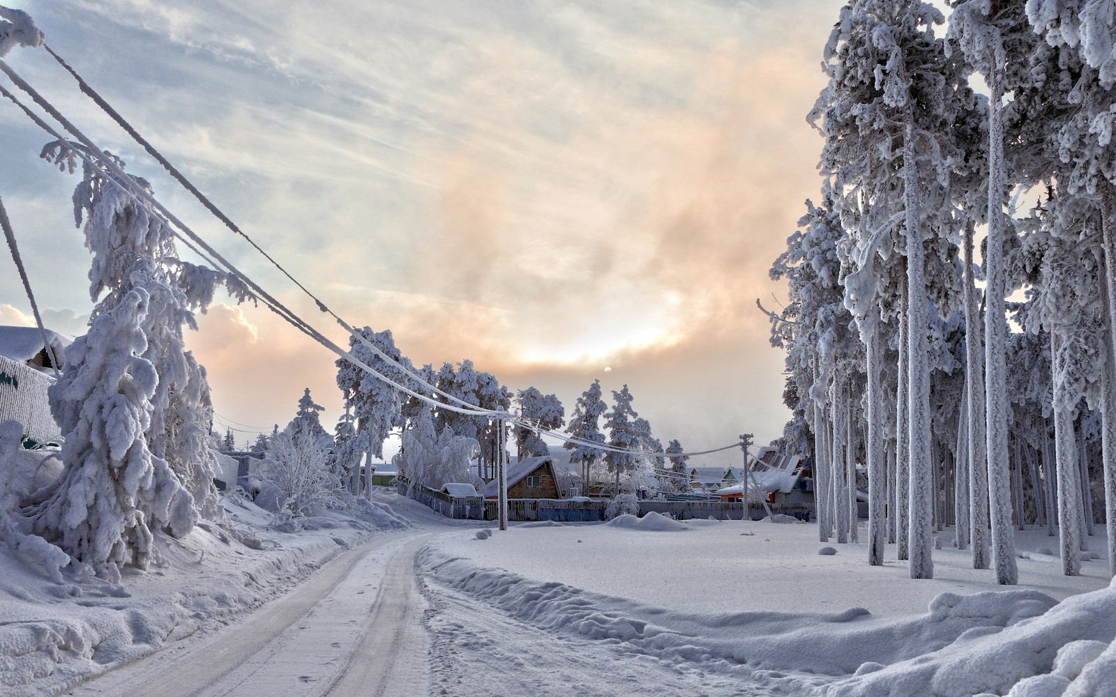 Route enneigée avec des arbres et des lignes électriques en arrière-plan (neige, hiver, gel, arbre, givre)