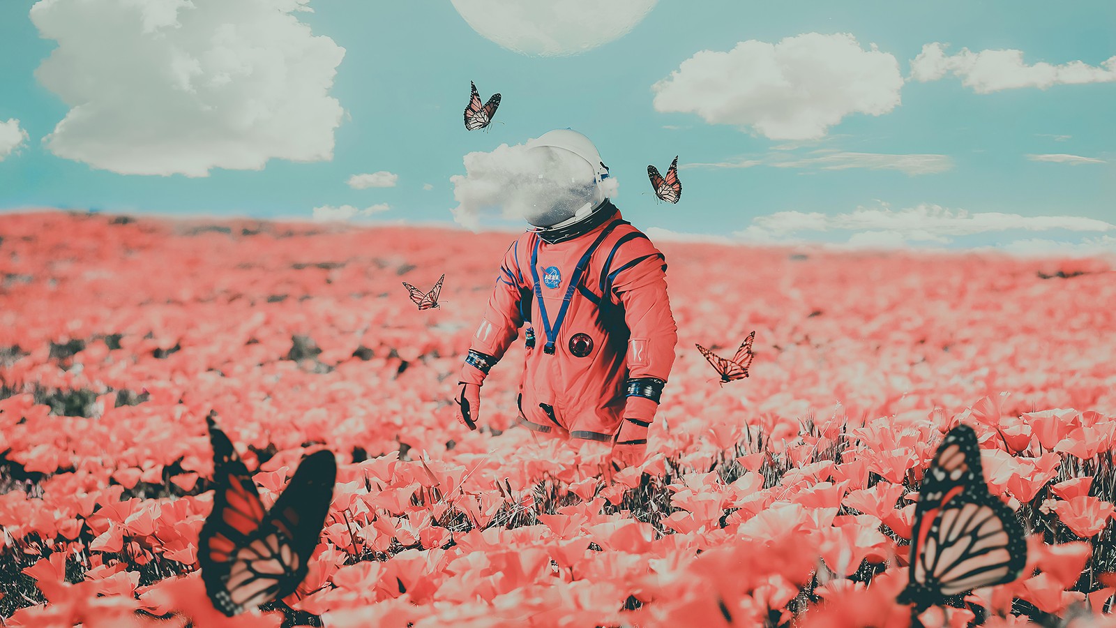 There is a man in a field of flowers with butterflies (flower, field, astronaut, butterflies, butterfly)