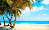 Paraíso de playa tropical con palmeras y mar cristalino