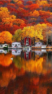 otoño, lago, naturaleza