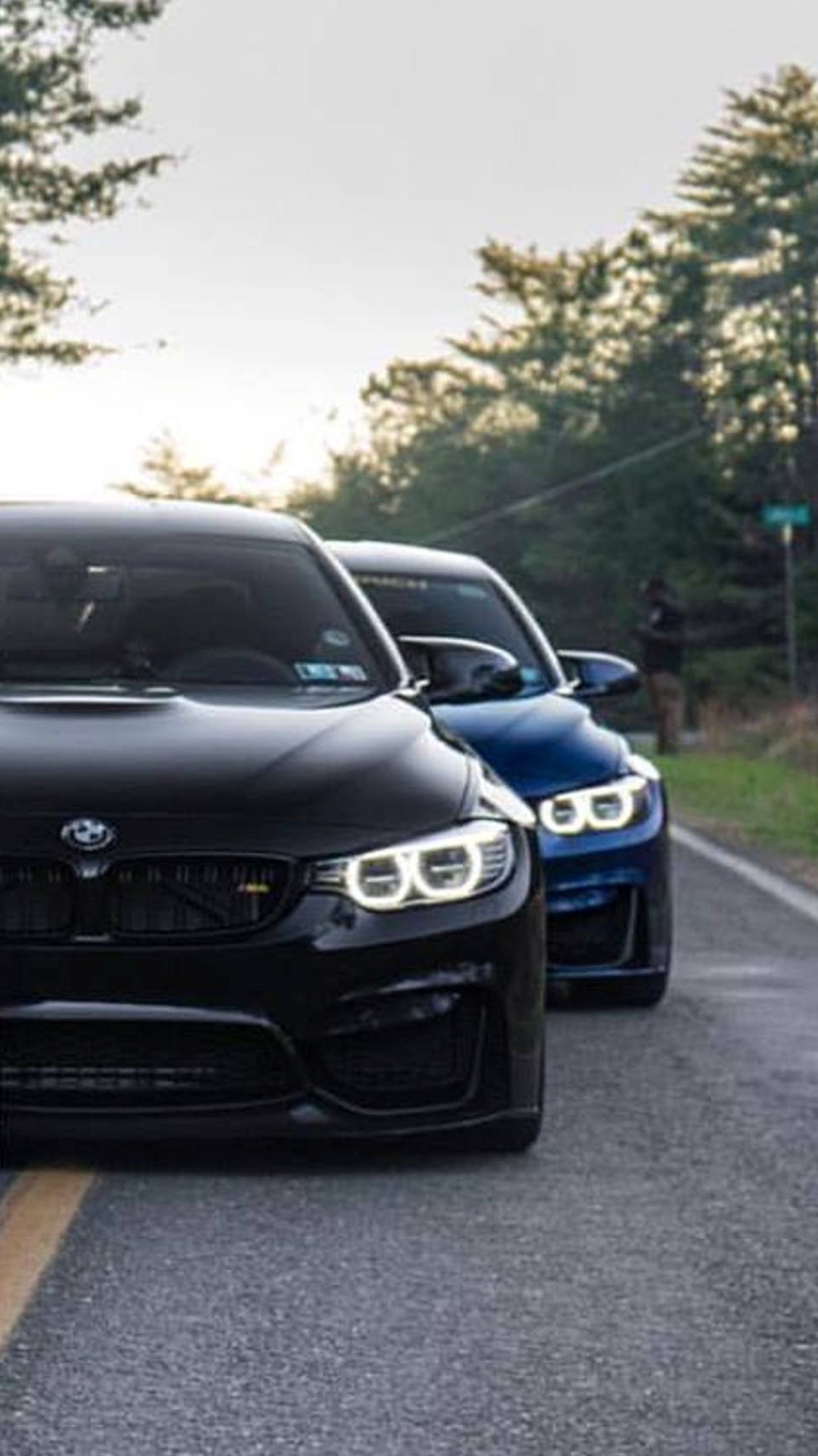 Des voitures bmw arabes sont alignées sur une route avec des arbres en arrière-plan (blue and black, bmw, voitures)