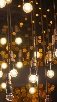 Warm Glow of Hanging Light Bulbs