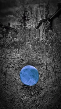 ball, blue, path wallpaper