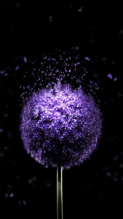 abstract, black, flower, light, purple