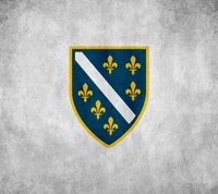 Coat of Arms of Bosnia and Herzegovina with Fleur-de-lis Symbols