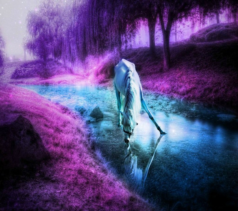 Fotografia em roxo e azul de um cavalo bebendo água de um riacho (cavalo, papel de parede)