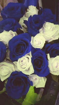 bleu, fleurs, roses