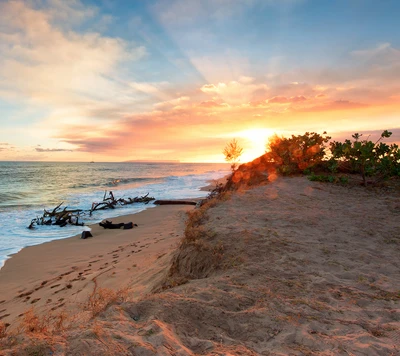 plage, paysage, matin, nature, lever de soleil