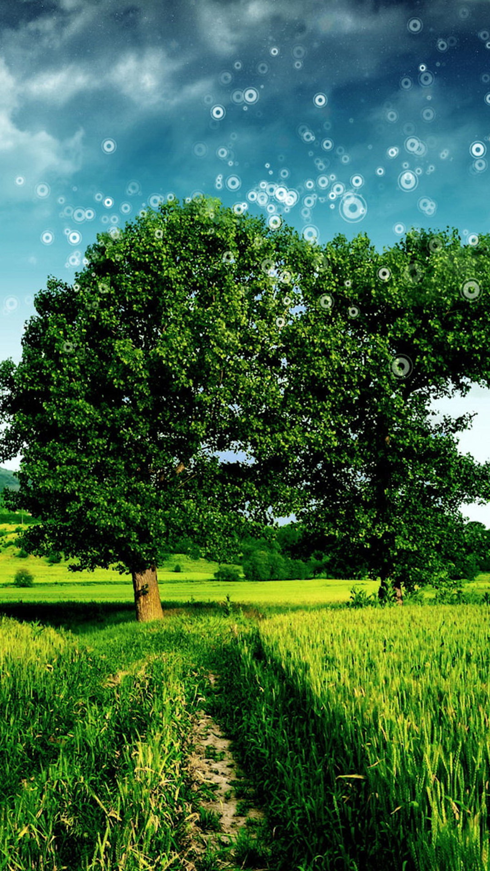 Lade feld, baum Hintergrund herunter