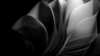 Monochrome Abstract Waves in Dark Mode