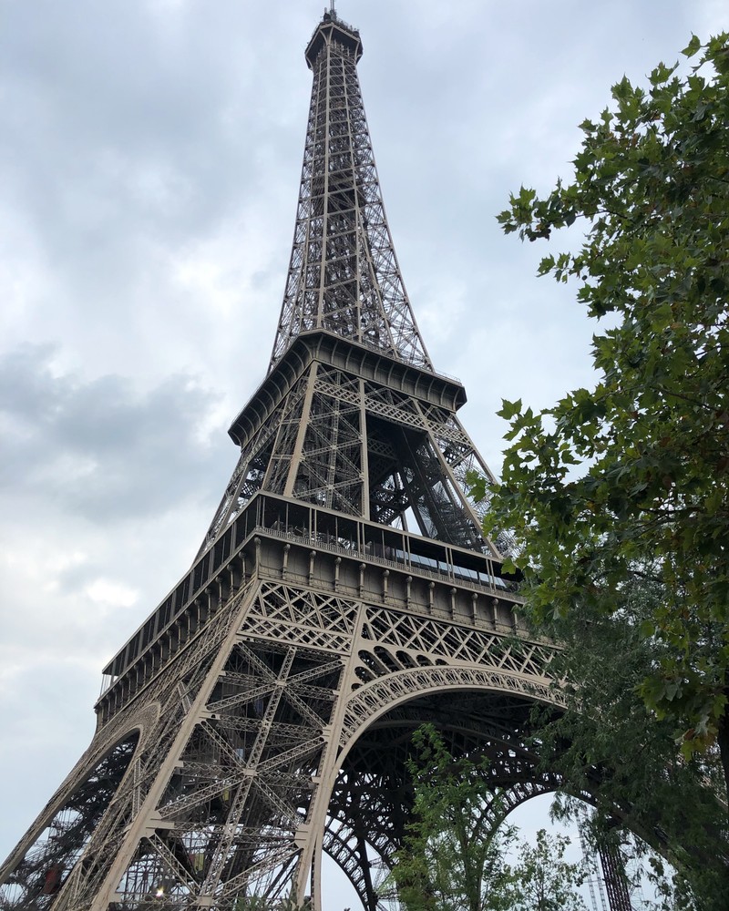 Жирафий вид на эйфелеву башню снизу (париж, paris, эйфелева башня, башня, архитектура)