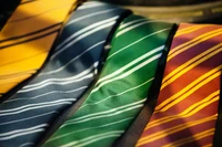 A close-up view of colorful neckties featuring bold stripes in yellow, green, orange, and maroon, reminiscent of Harry Potter house colors.