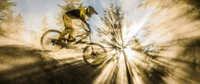 Freeride-Mountainbiker im sonnigen Wald