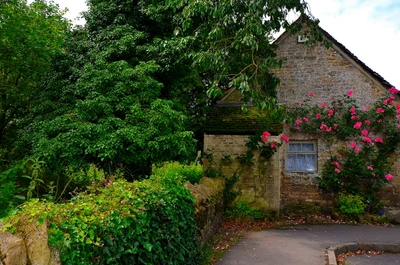 Cottage encantador cercado por vegetação exuberante e flores em flor em Bibury