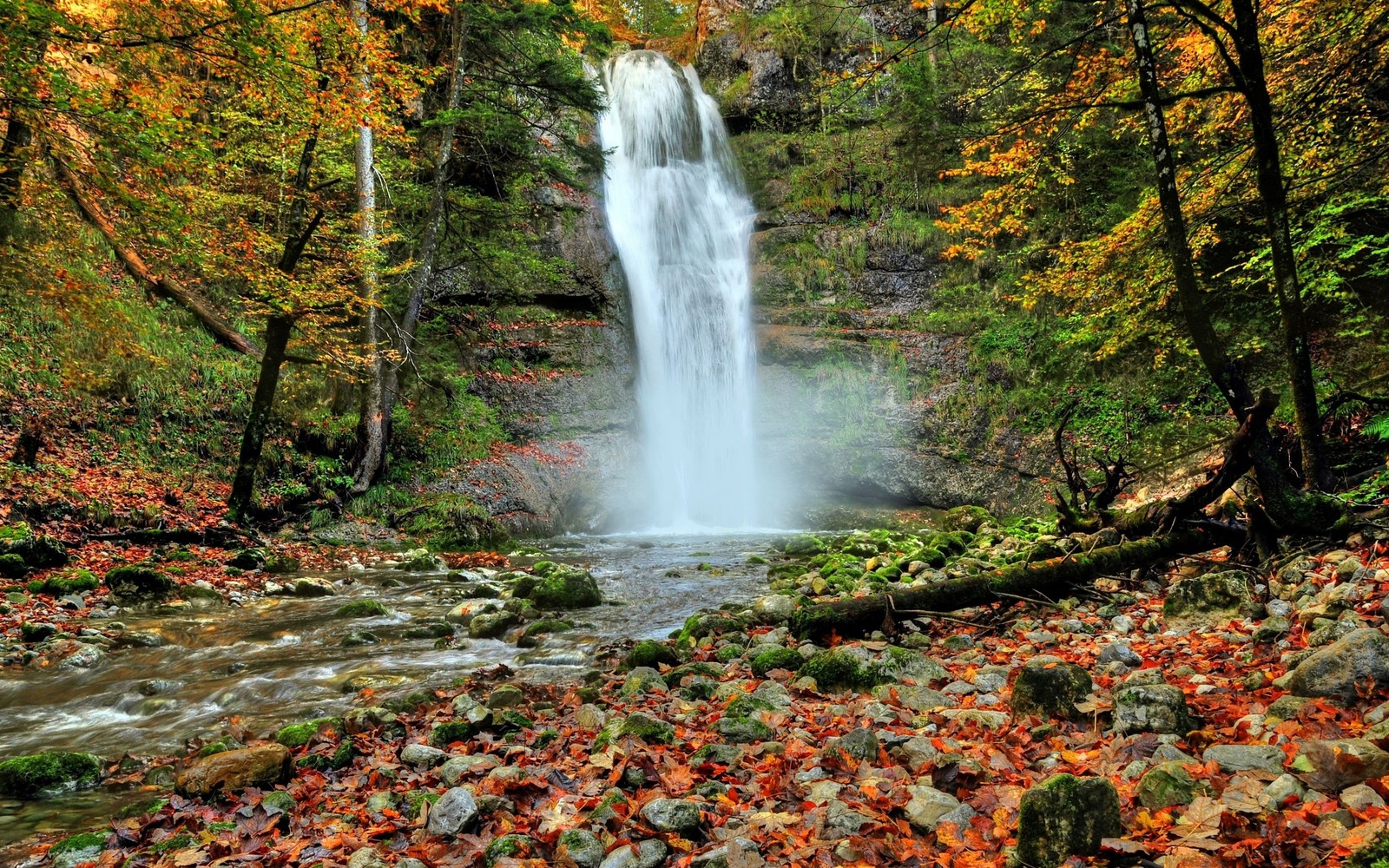 A close up of a waterfall in a forest with lots of leaves (waterfall, body of water, nature, water, nature reserve)