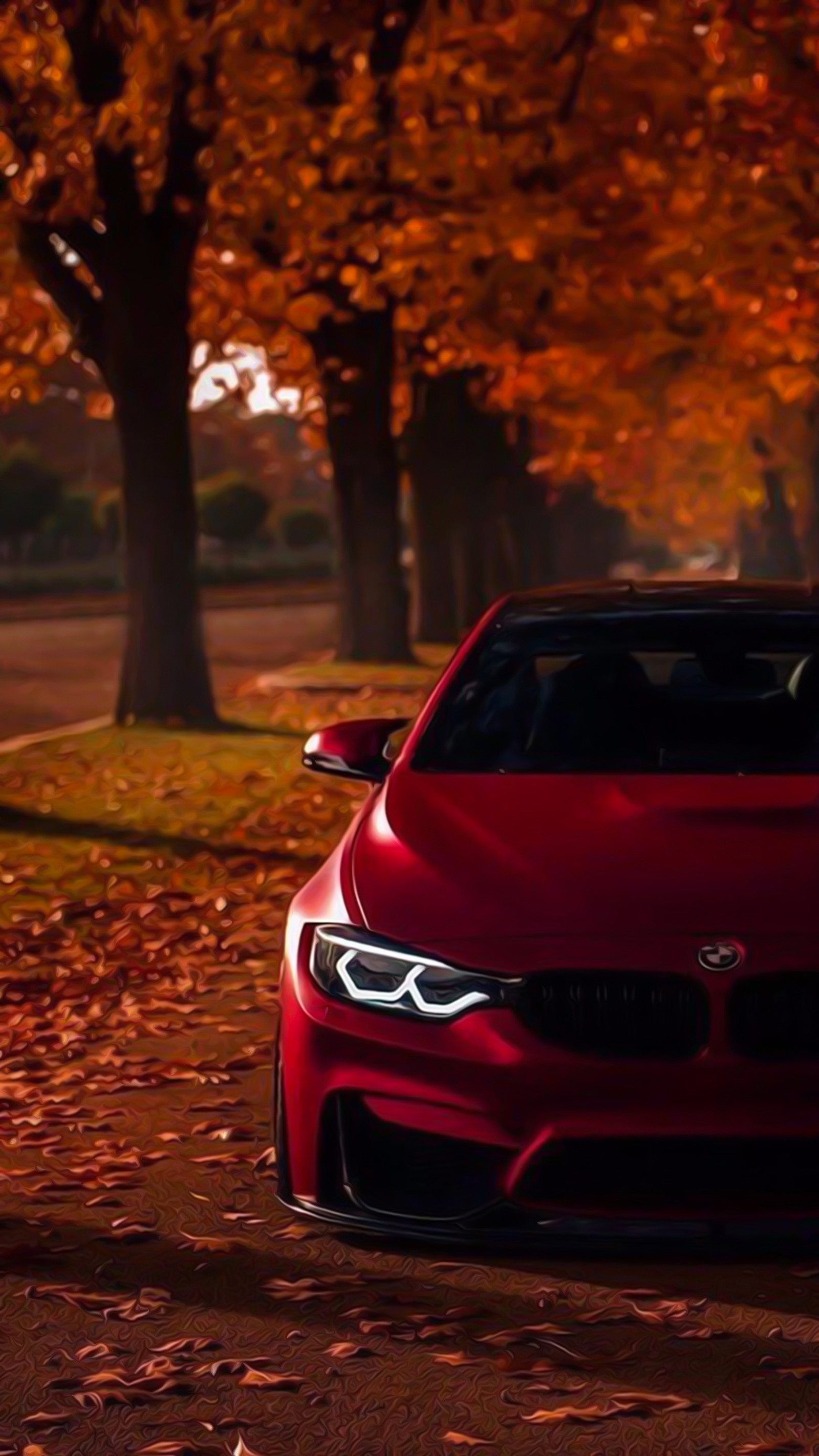 Bmw m8 coupé no outono (carro, outono, beleza, estilo de borda, vermelho)