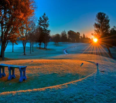 field, frost, golf course, grass, morning