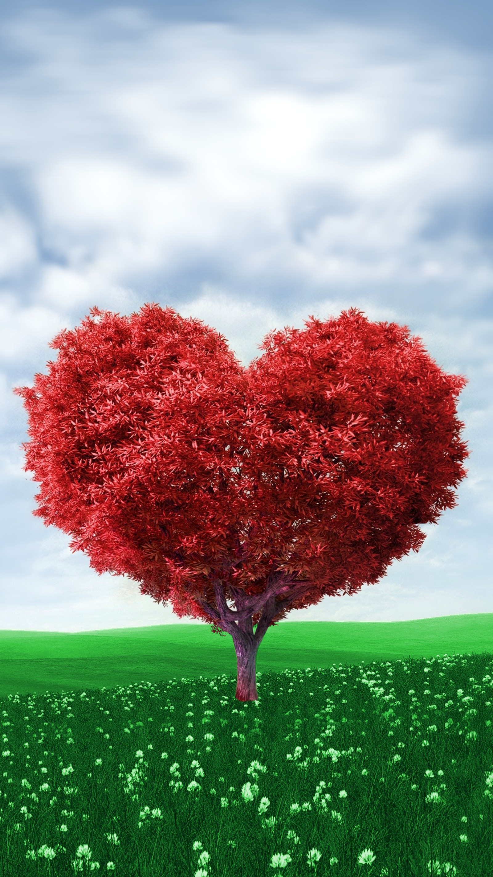 Arafed tree in the shape of a heart in a field (amour, coeur, heart, love, tree)