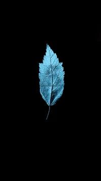 black, leaf wallpaper