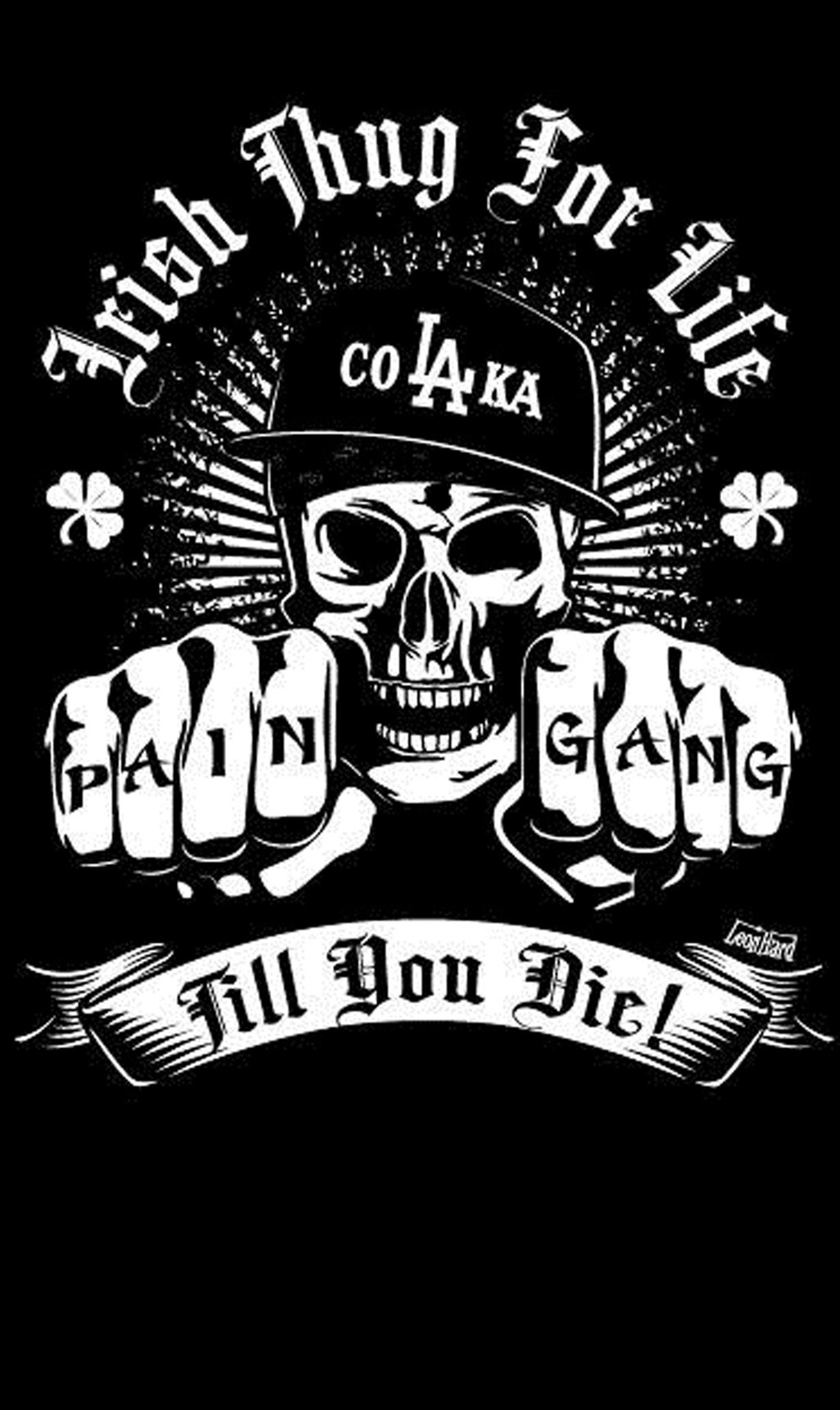 A black and white image of a skull with two fists (everlast, house of pain, ill bill, la coka nostra, slaine)