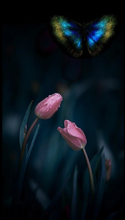 borboleta, flores, natureza