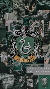 Slytherin Haus Ästhetik: Umarmung von Ambition und Cleverness