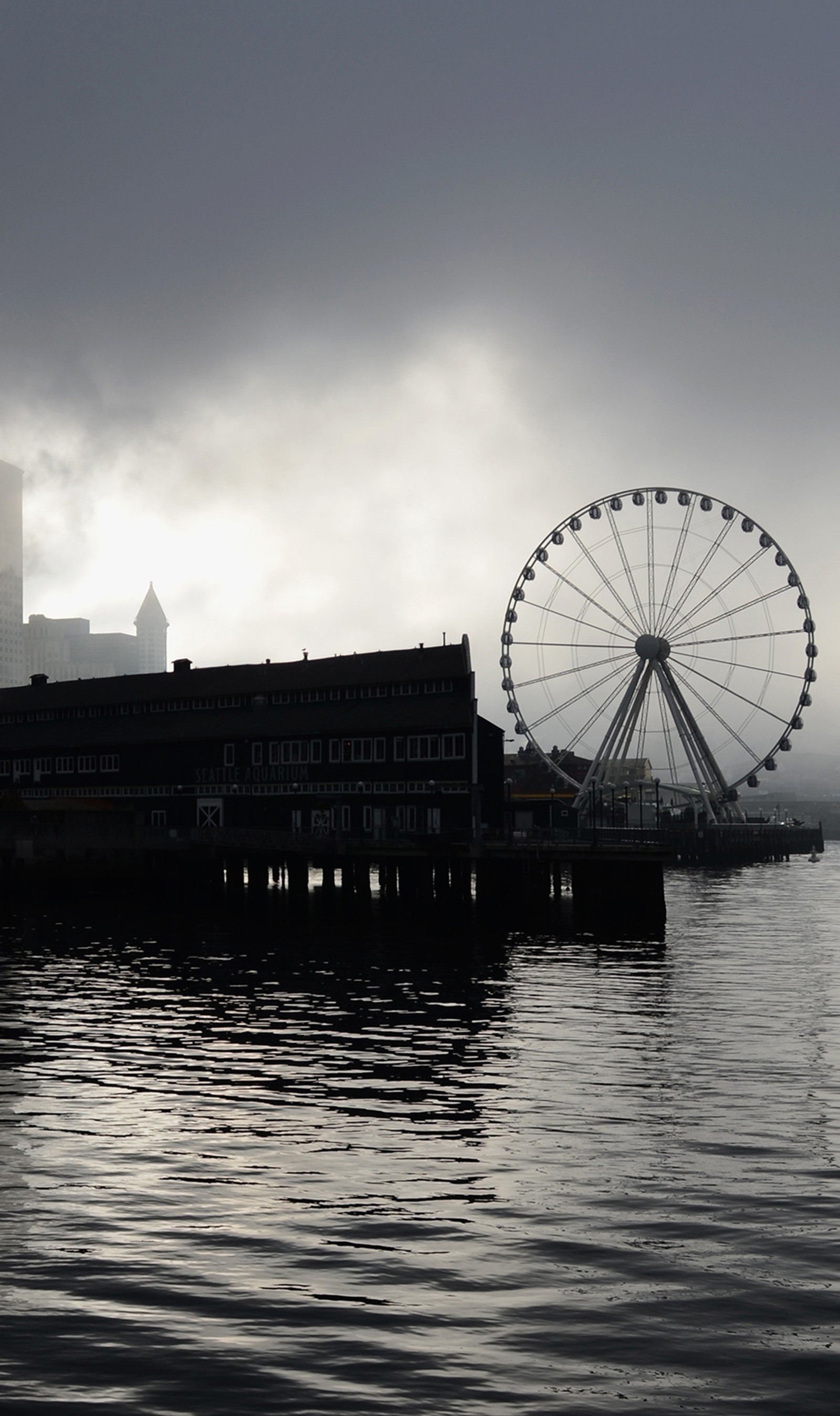 Arafed ferris wheel in the middle of a body of water (dark, night, sea, skyscape, town)