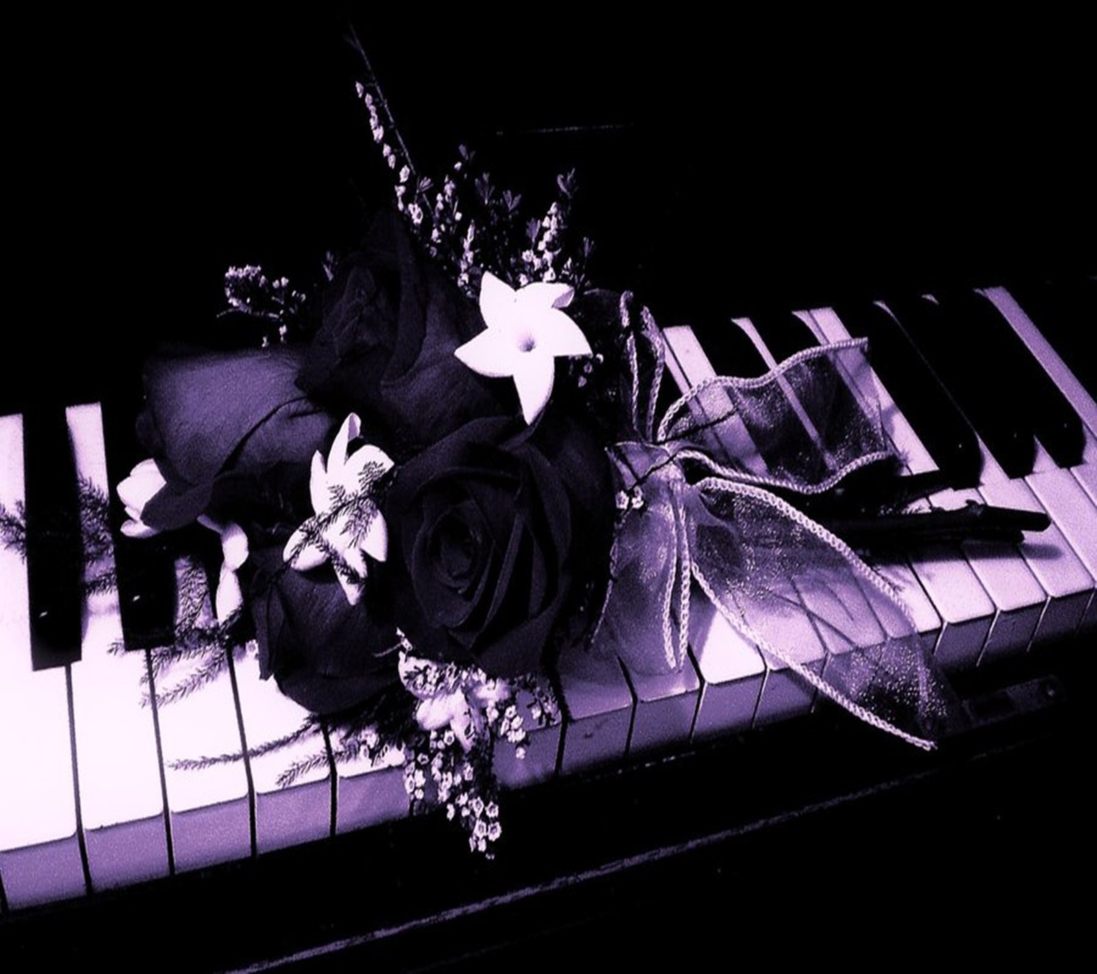 Foto en blanco y negro de una rosa sobre un piano (rosa negra, fondo de pantalla)