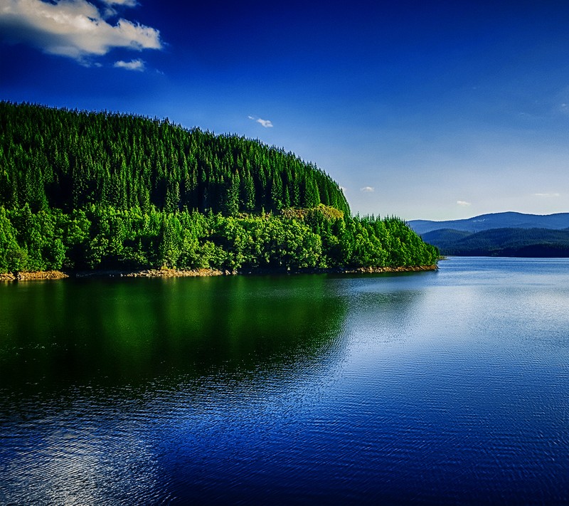 Лодка, плавающая в воде рядом с лесом (румения, отпуск)