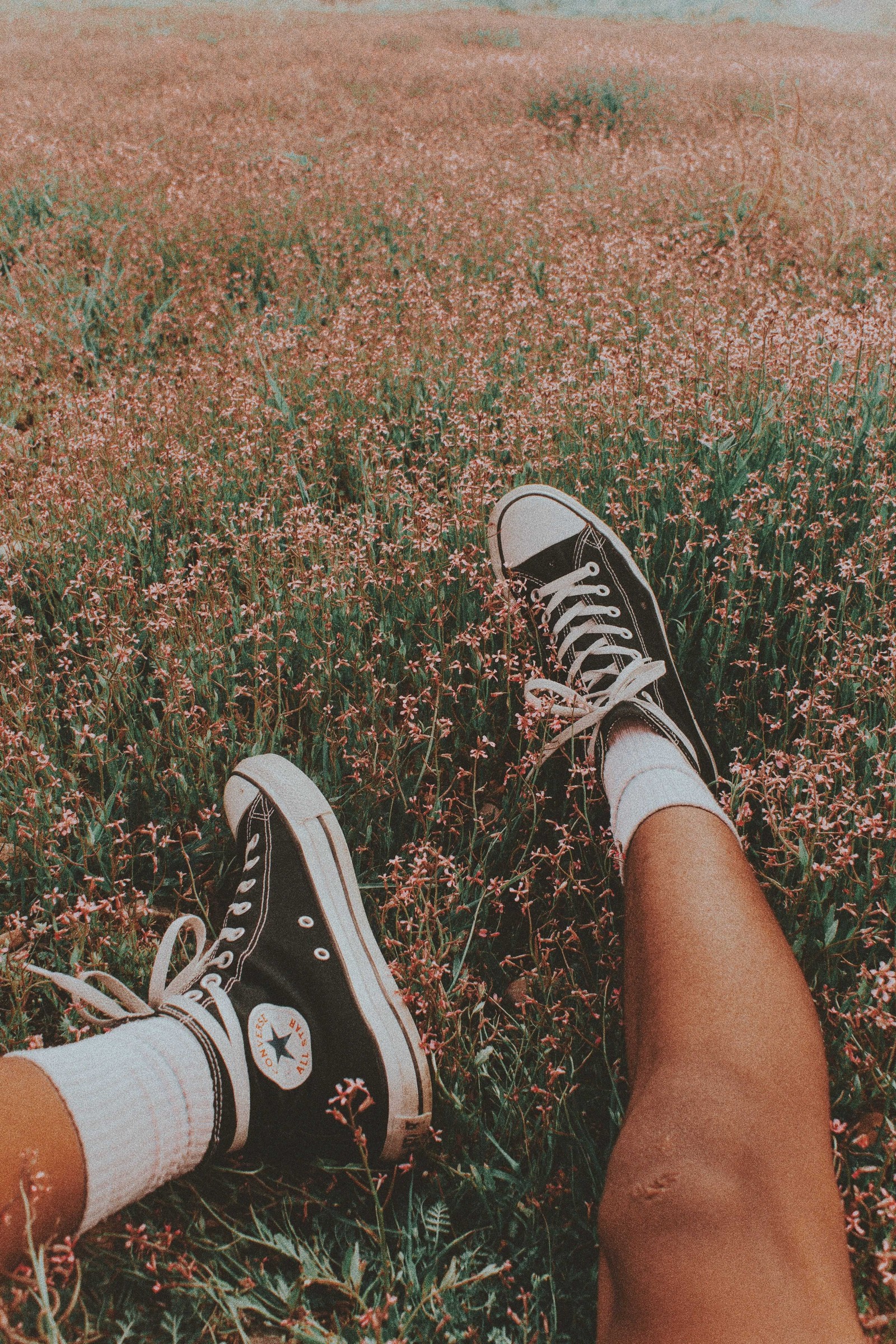 Alguien está sentado en un campo de flores con los pies levantados (estética, pie)