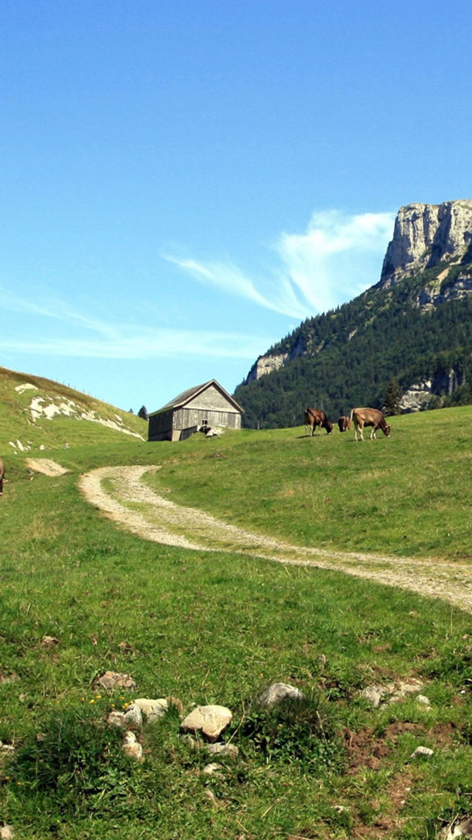 Descargar fondo de pantalla caminar, camino