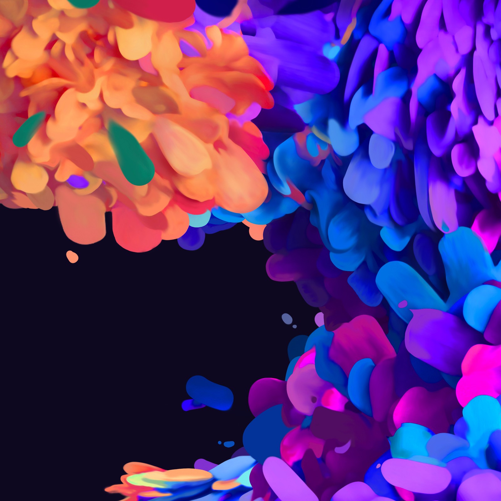 Brightly colored flowers are scattered in a black background (hd, iphone12, note20, note20ultra, note21)