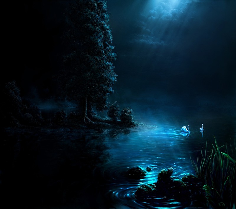 Night scene of a lake with a swan and a full moon (blue, dark)