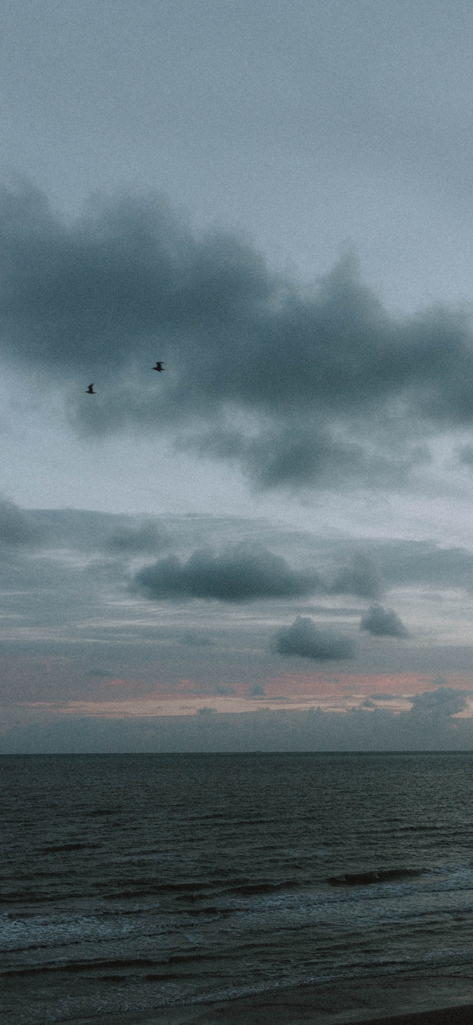 There is a bird flying over the ocean at sunset (sea, cloud, water, atmosphere, bird)