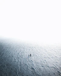 Solitary Figures on a Foggy Ocean Horizon