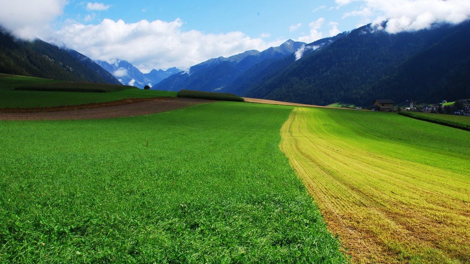 Um campo verde com algumas colinas ao fundo (natureza, terras altas, ecossistema, crop, planície)