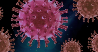 Close-up illustration of coronavirus particles in vibrant pink and electric blue, showcasing intricate patterns resembling marine invertebrates, set against a dark background.