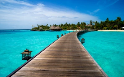 Paseo escénico que conduce a un resort tropical en aguas cristalinas