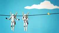 Stormtroopers sur une corde à linge : Une touche ludique à l'aventure Star Wars