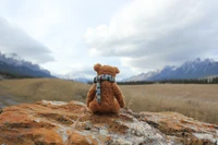 roche, montagne, silhouette, nuage, steppe