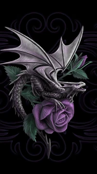 beauty, dragon