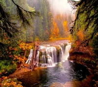 vue sur la nature, arbres deau